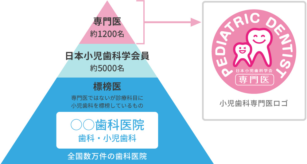 日本小児歯科学会 | 小児歯科受診を考えている方へ